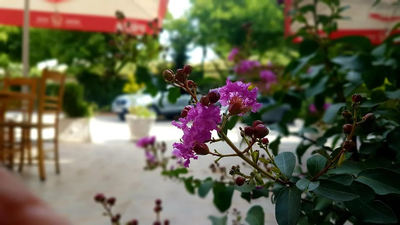 Hotel Te Sadiku Gramsh