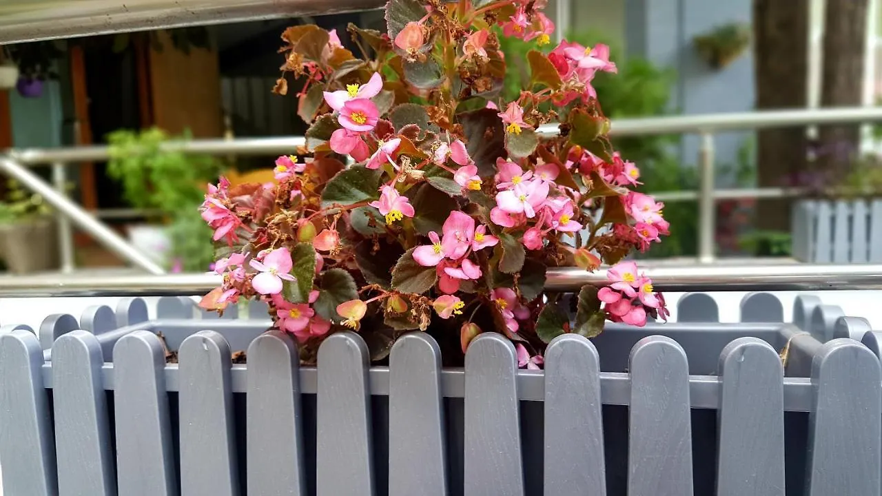 Hotel Te Sadiku Gramsh アルバニア